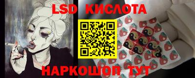 гидра Кандалакша