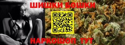 гашик Камышлов