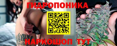 гашик Камышлов