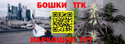 гашик Камышлов