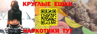 гашик Камышлов