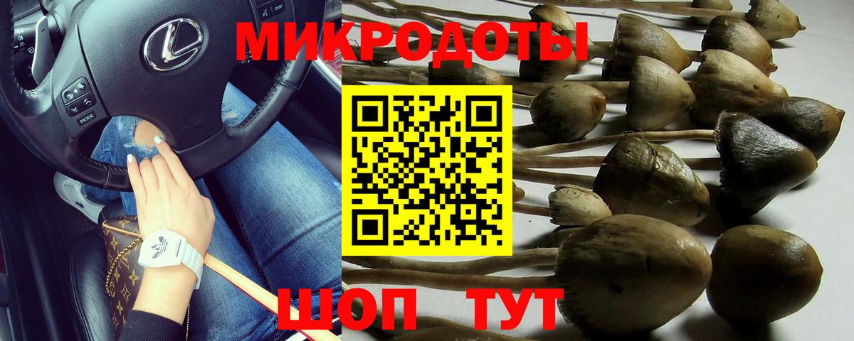 Псилоцибиновые грибы GOLDEN TEACHER  где можно купить наркотик  Красный Сулин  Вход с VPN 